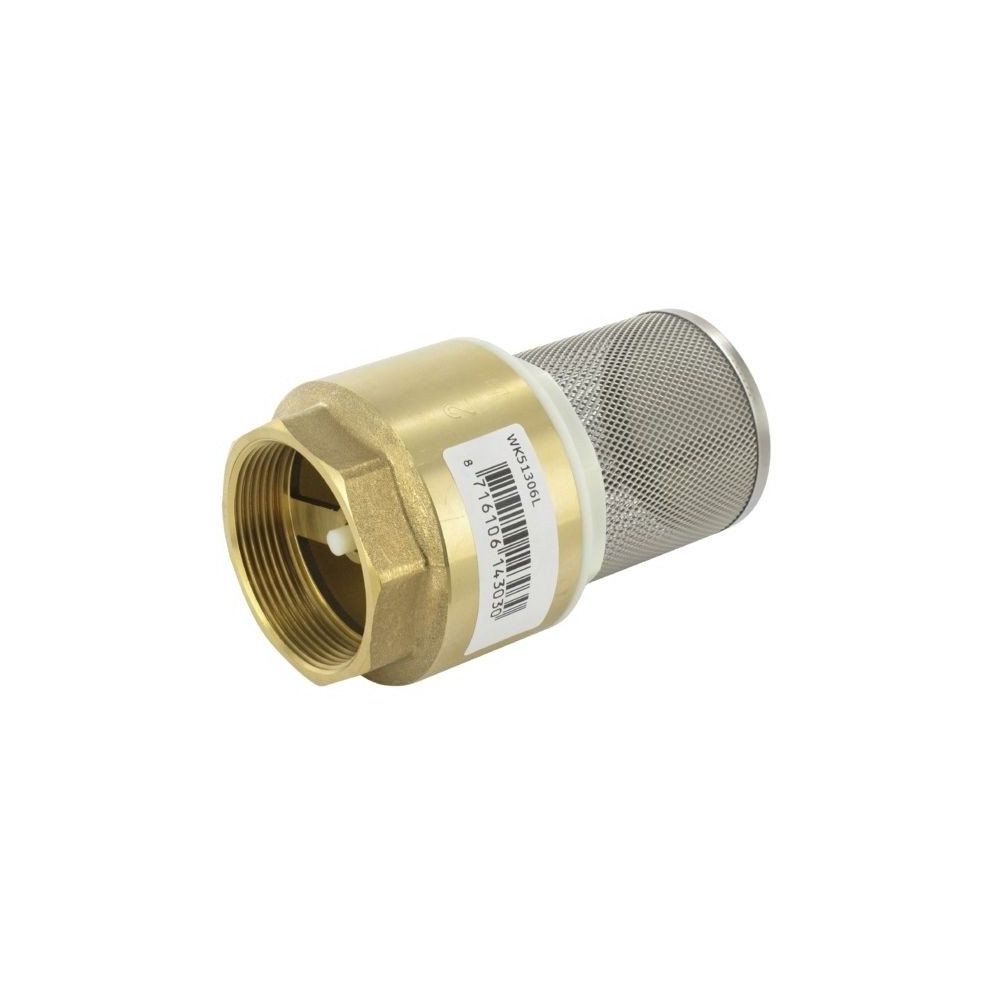 CREPINE AVEC CLAPET INOX FEMELLE 2" - RC5302
