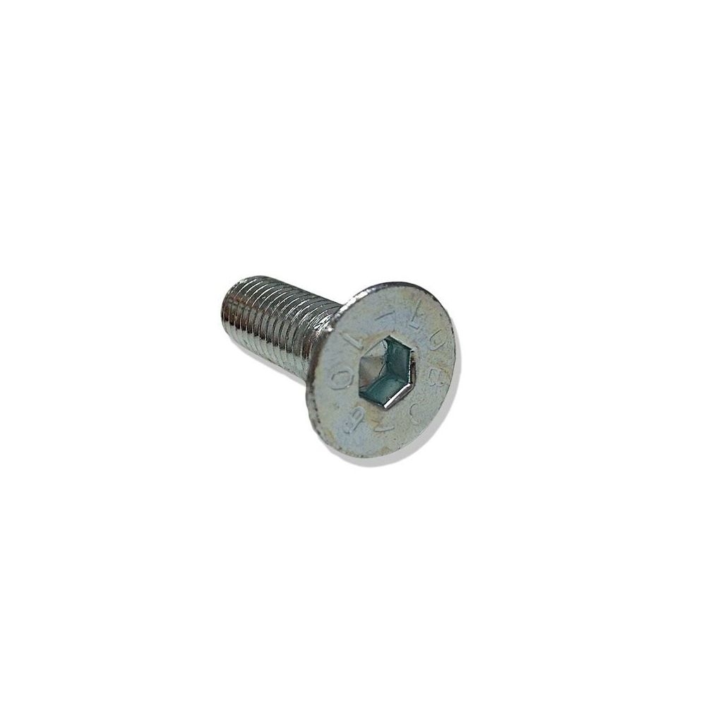 Vis inox m8x25mm pour fixation support écaille type sw réf. 060031 - Grégoire