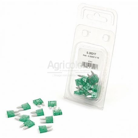 FUSIBLE (MINI, x10) 30A