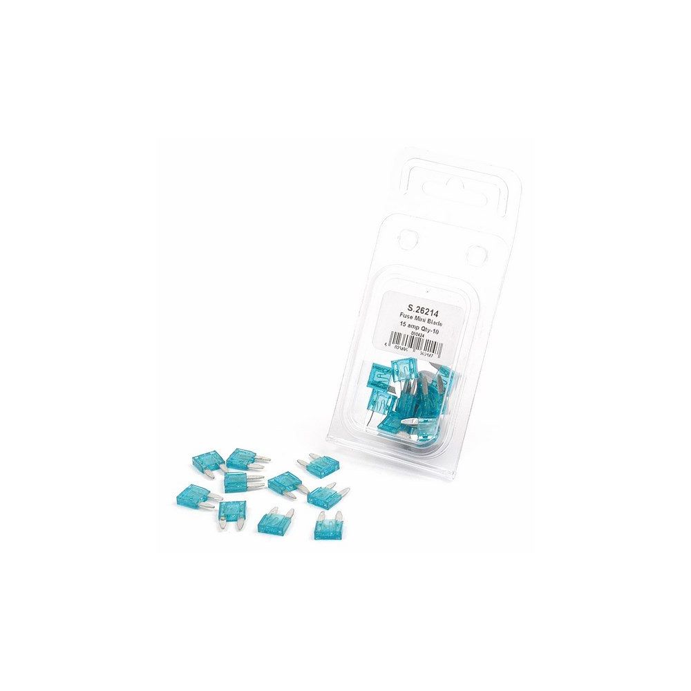 FUSIBLE (MINI, x10) 15A