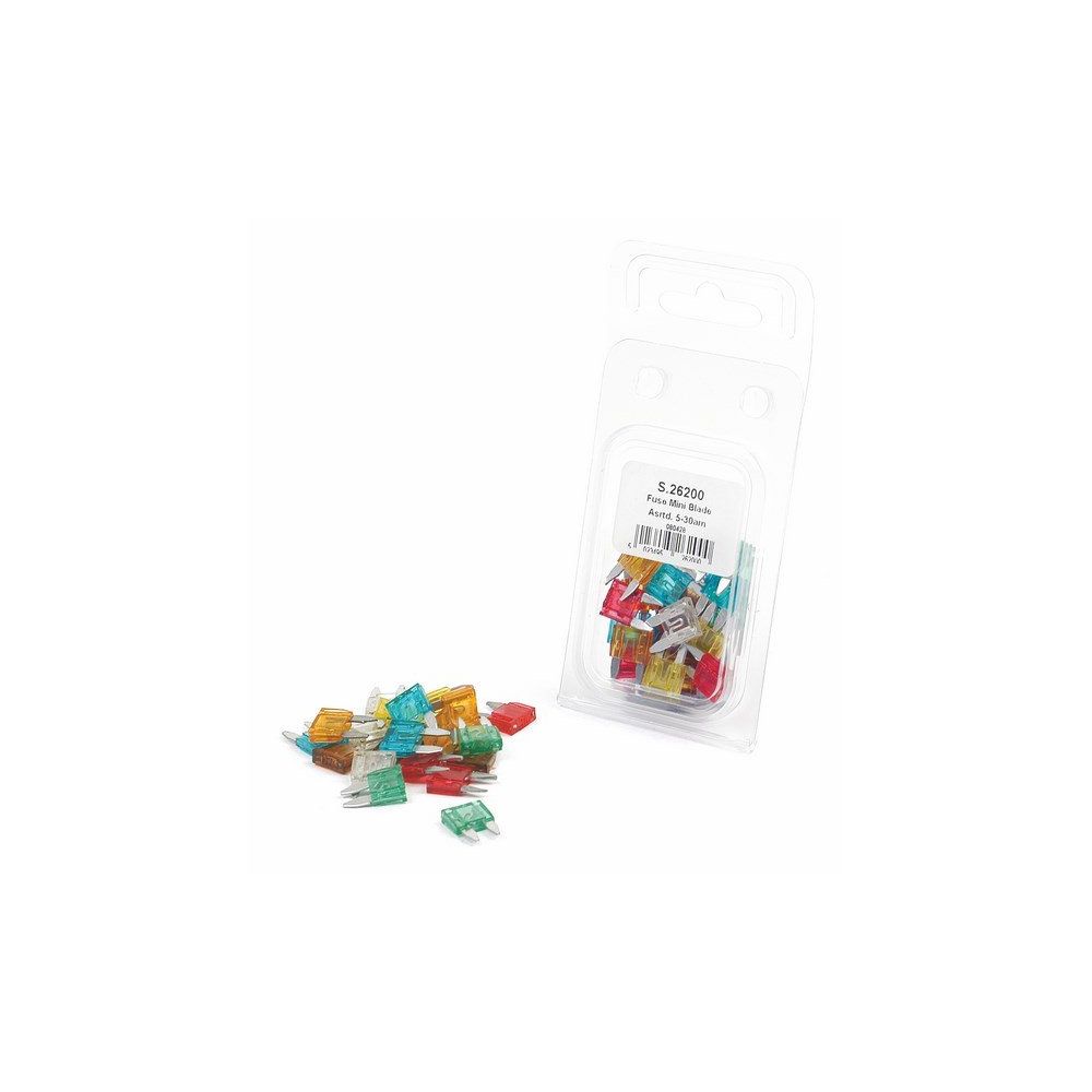 FUSIBLES (MINI, x21) ENFICHABLES DE 5 À 30A