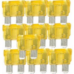 10 FUSIBLES ENFICHALES 20A