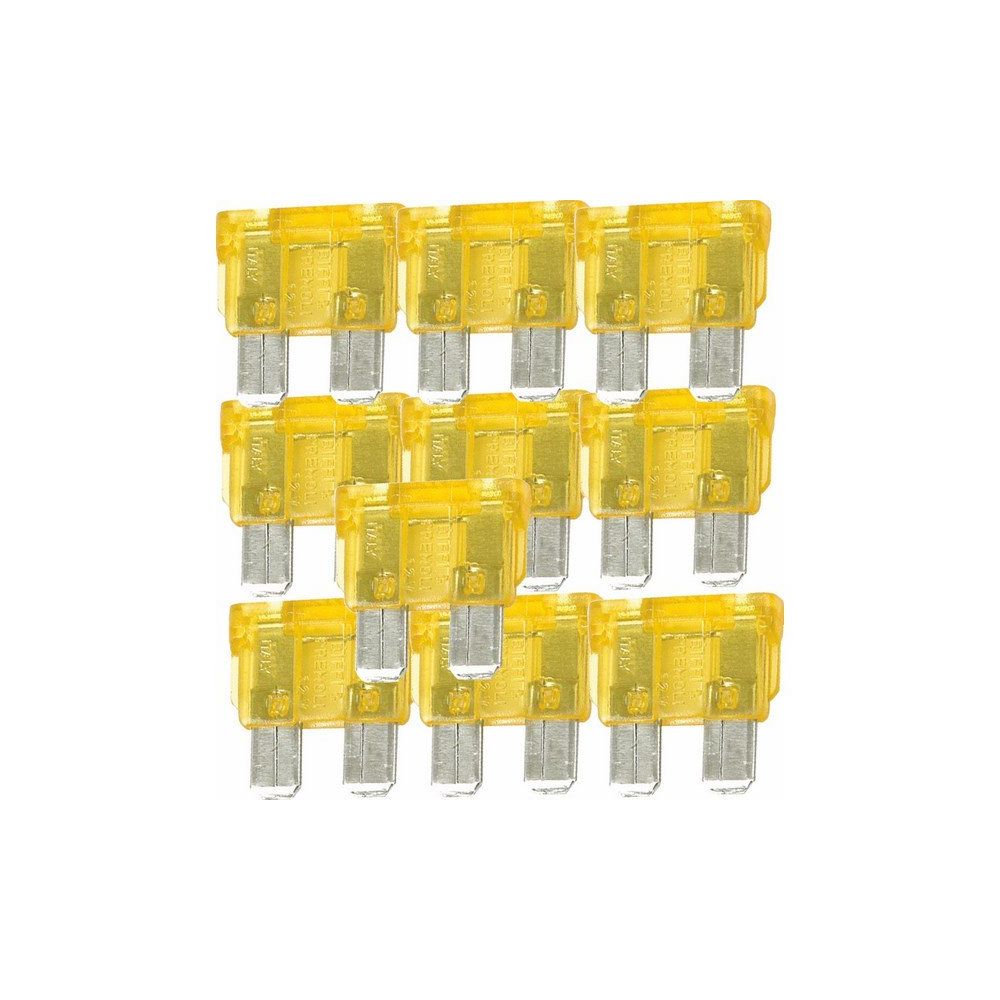 10 FUSIBLE ENFICHALES 20A