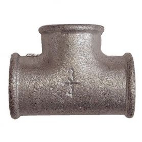 Té Galva  F/F/F     1''1/4