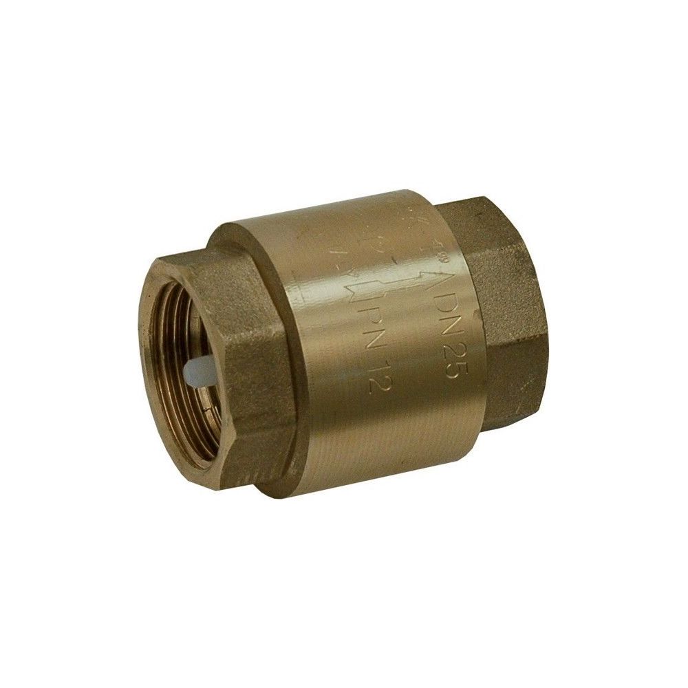 Clapet Anti Retour Laiton F/F 3''