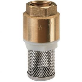 Clapet Anti Retour Crépine Inox Fem 1''