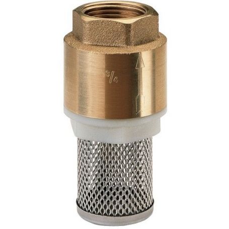 CLAPET ANTI RETOUR CRÉPINE INOX FEM 1''