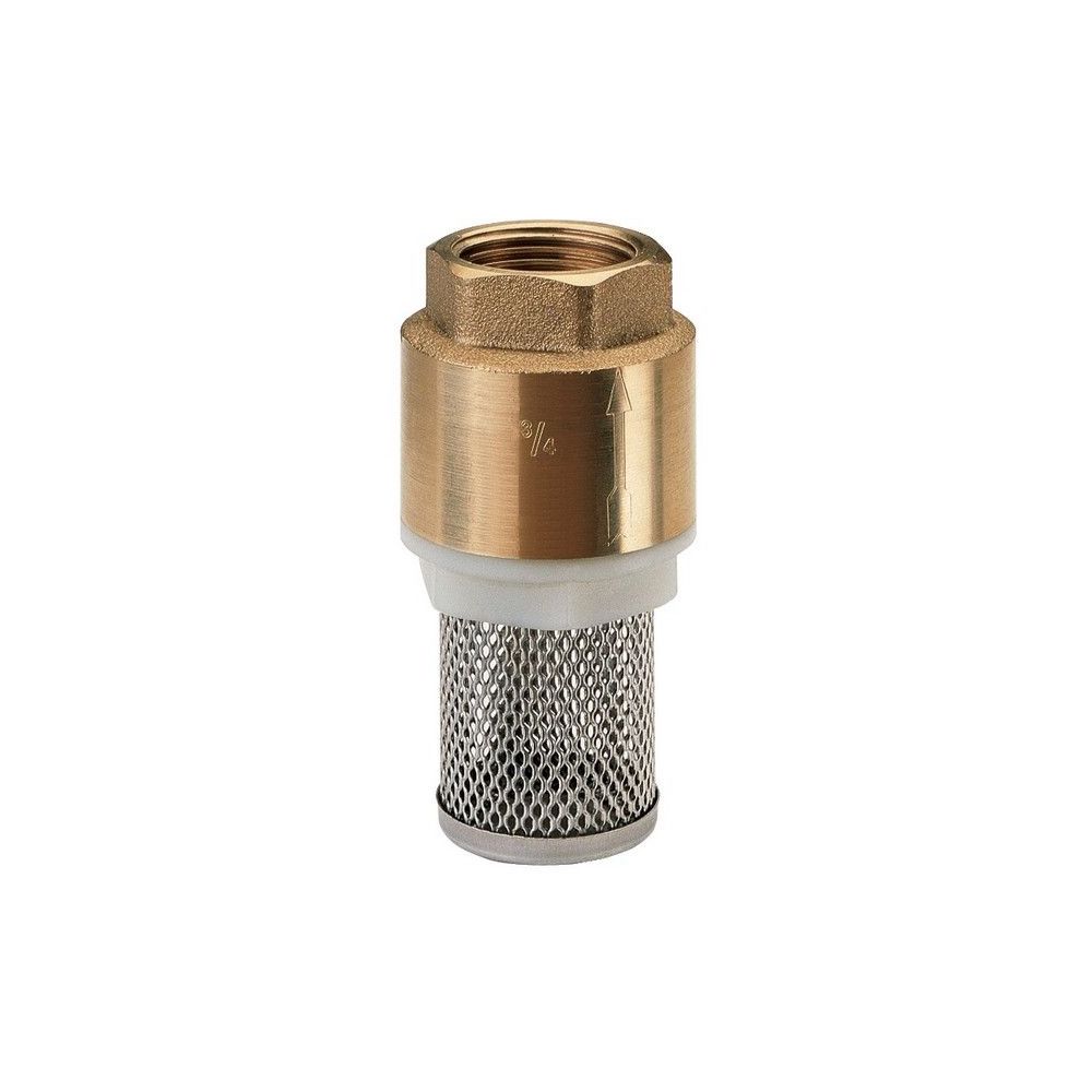 Clapet Anti Retour Crépine Inox Fem 3''