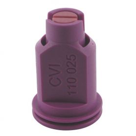 Buse CVI Lilas