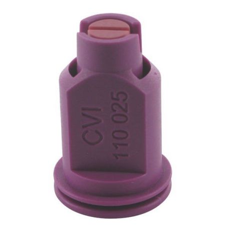 BUSE CVI LILAS