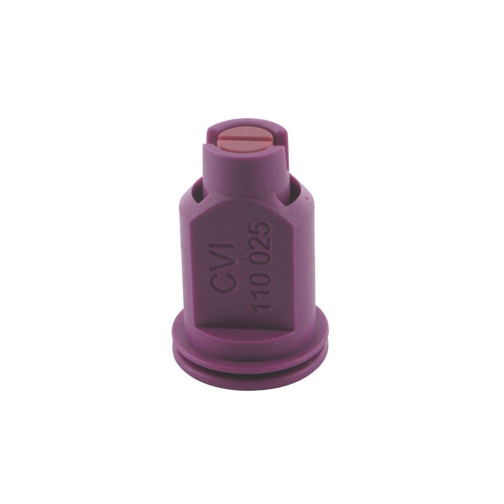 Buse CVI Lilas