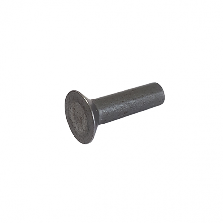 RIVET TF 6X22 1KG ENVIRON 175 RIVETS RÉF. 10176004K RIBOULEAU pour MONOSEM