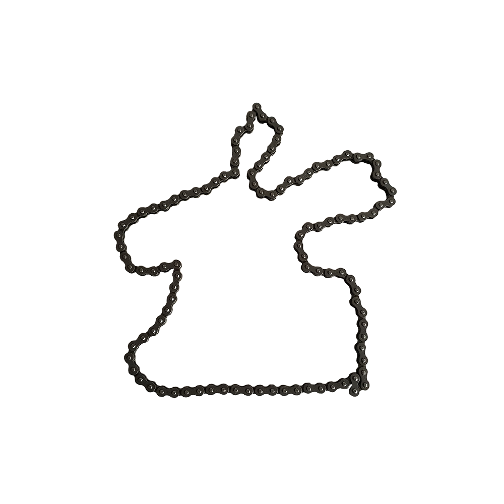 CHAINE 5R 110 RLX NON BOUCLE MONOSEM RÉF 66002627