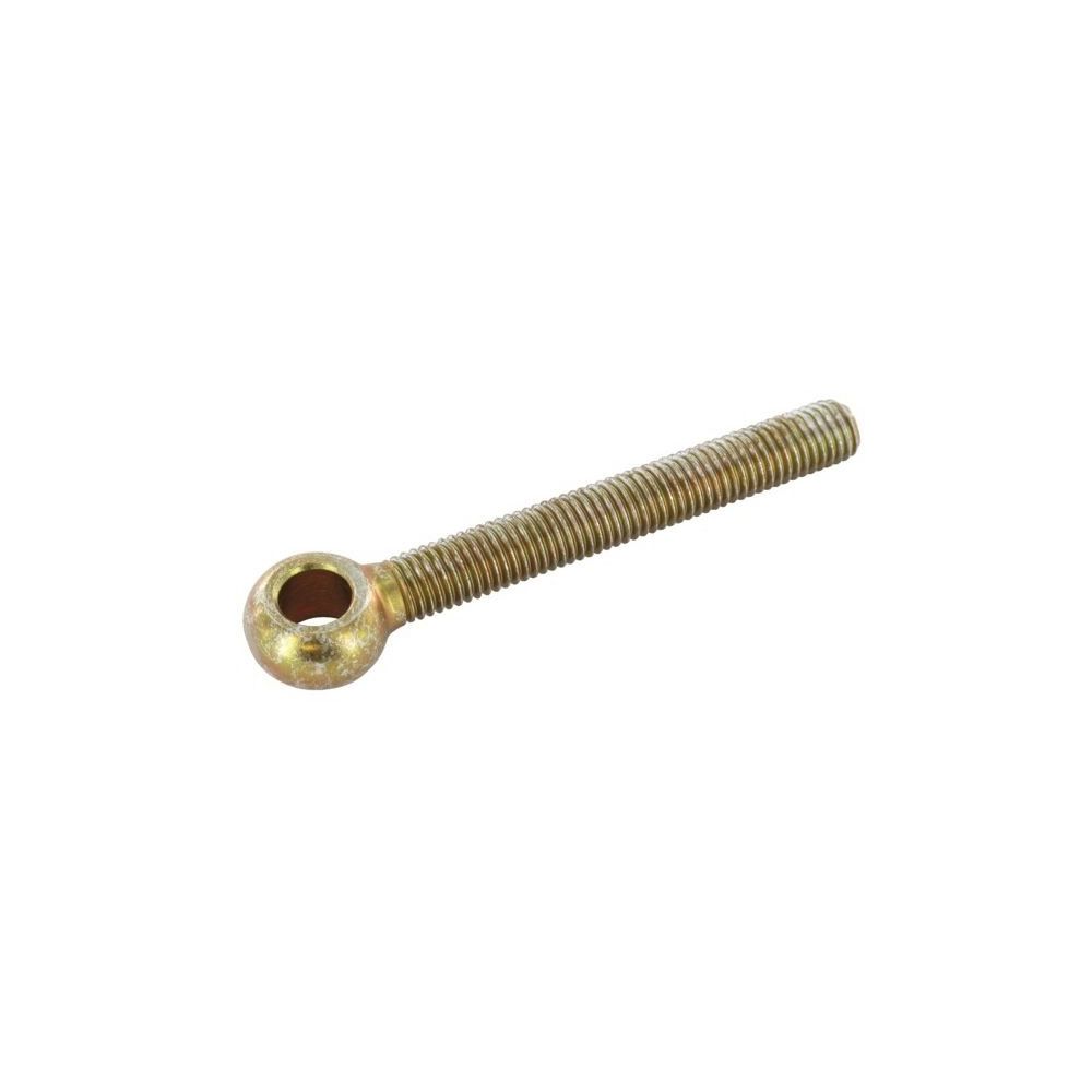 VIS 12X100 444LB 4.6 OEIL Réf. DA035 AMAZONE