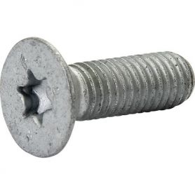 VIS 08X 25 10642 10.9 (ROTEC+) Réf. DD497 AMAZONE