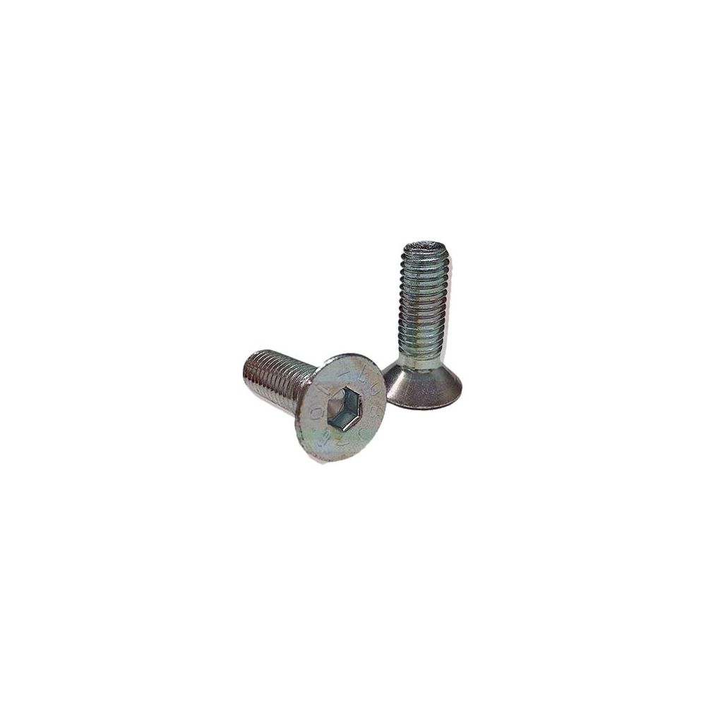 Kit 2 vis inox m8x25 pour fixation écaille (spdxpel & spsxpel) réf. vtscpel - Pellenc