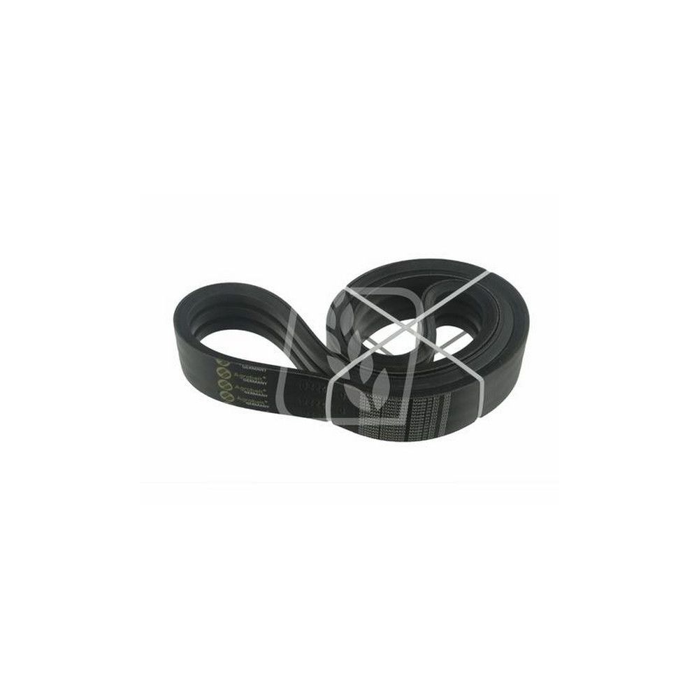 Courroie Power band RÉF.  000567825 Claas