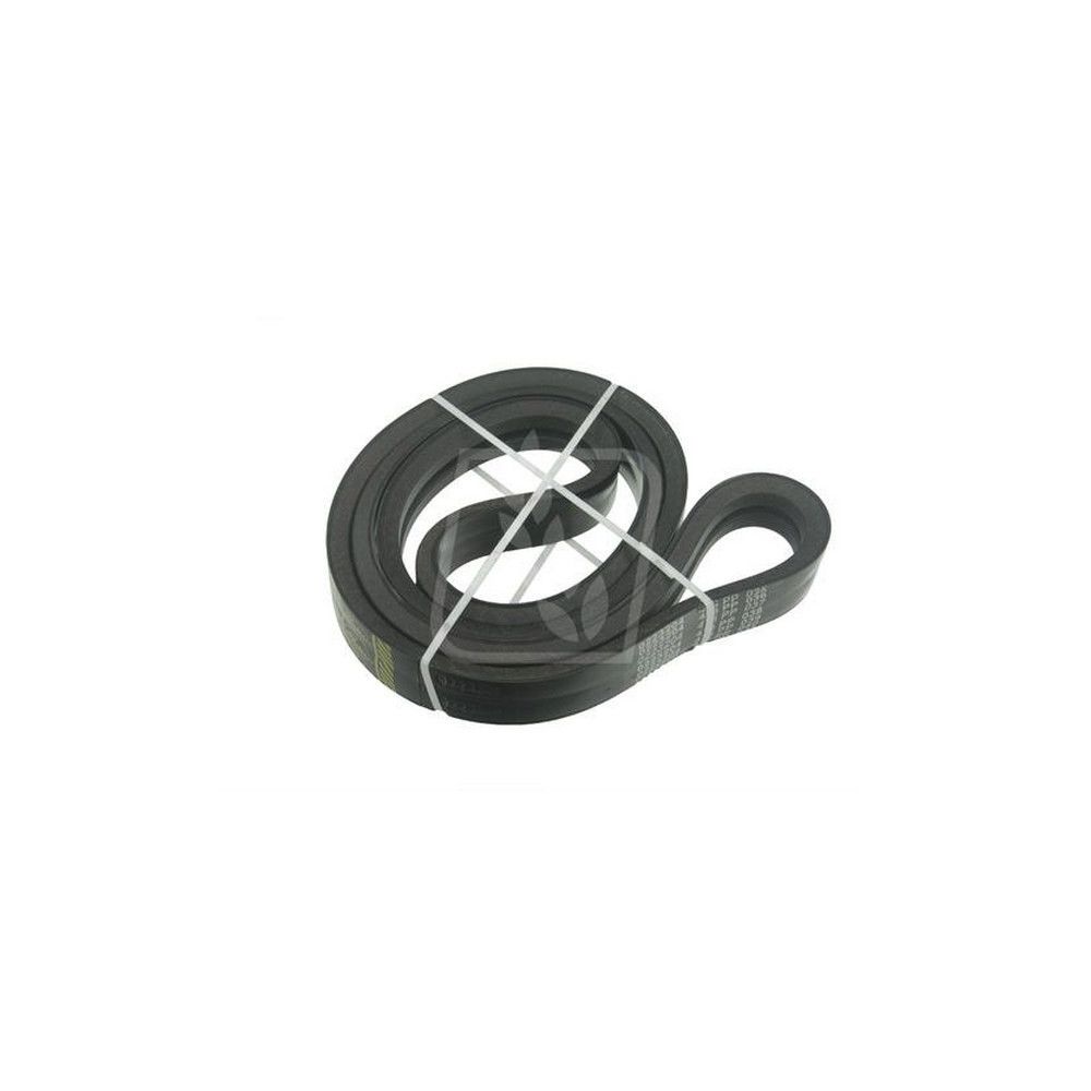 Courroie Power band RÉF.  0006676810 Claas