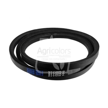 JEUX DE COURROIES RÉF. 06173092 - CLAAS