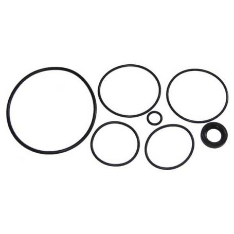 Kit de joints d'étanchéité de pompe de direction assistée réf. 1810417M91 - Massey Ferguson Kit de joints d'étanchéité de pompe de direction assistée réf. 1810417M91 - Massey Ferguson