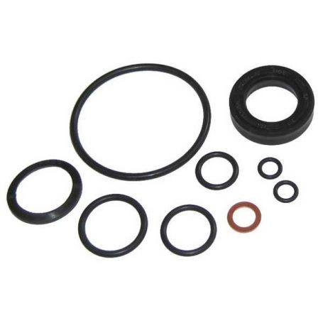 Kit de joints d'étanchéité de vérin de direction assistée réf. 1810437M91 - Massey Ferguson