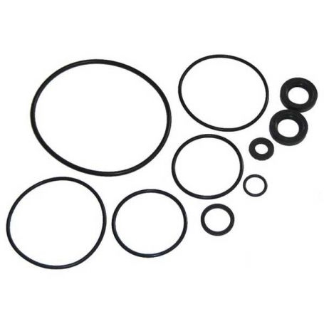 Kit de joints d'étanchéité de pompe de direction assistée réf. 1810509M91 - Massey Ferguson Kit de joints d'étanchéité de pompe de direction assistée réf. 1810509M91 - Massey Ferguson
