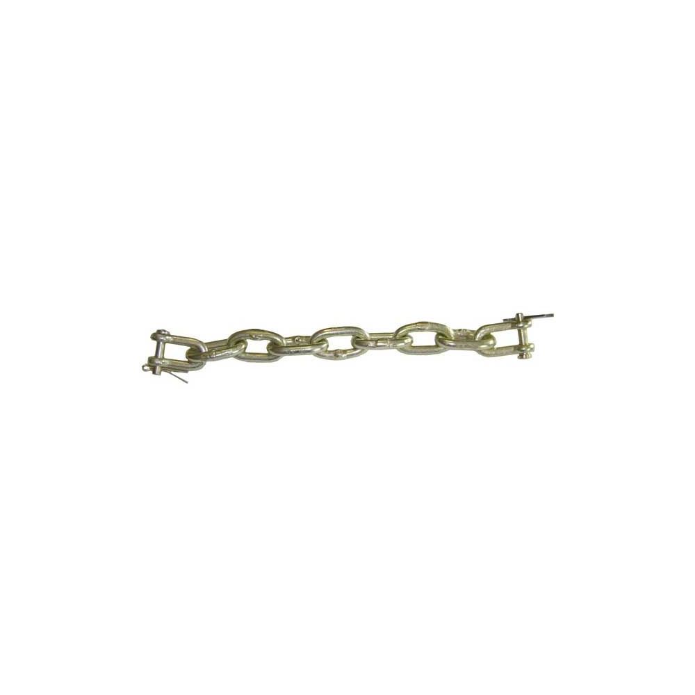 Chaîne de contrôle 35 135 - PAIRE pour MASSEY FERGUSON