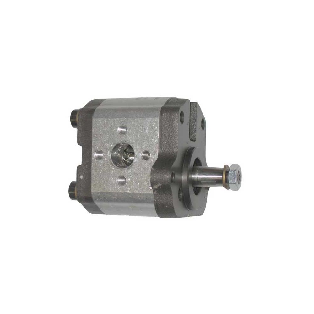 Pompe Hydraulique Landini 8880 9880 pour LANDINI