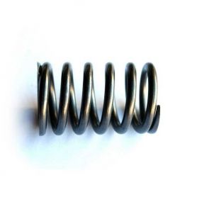 Ressort de soupape Ford 00 000 10 30 55 Series pour FORD