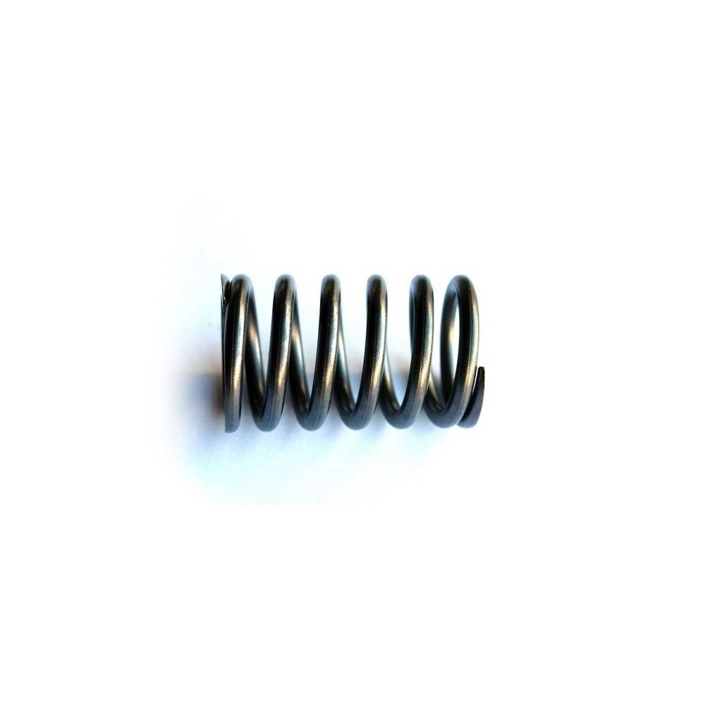 Ressort de soupape Ford 00 000 10 30 55 Series pour FORD
