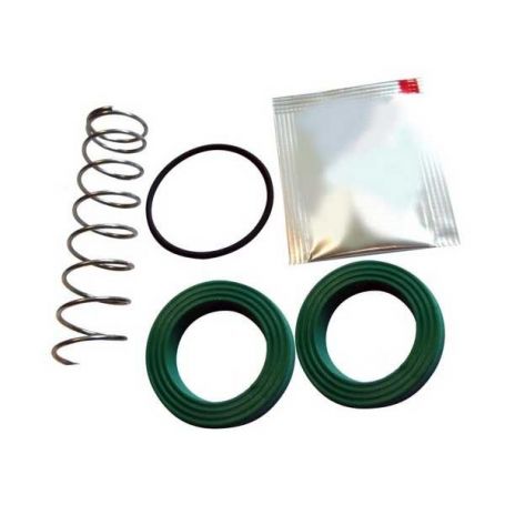 Kit de réparation du cylindre récepteur de frein réf. 1810917M94 - Massey Ferguson Kit de réparation du cylindre récepteur de frein réf. 1810917M94 - Massey Ferguson