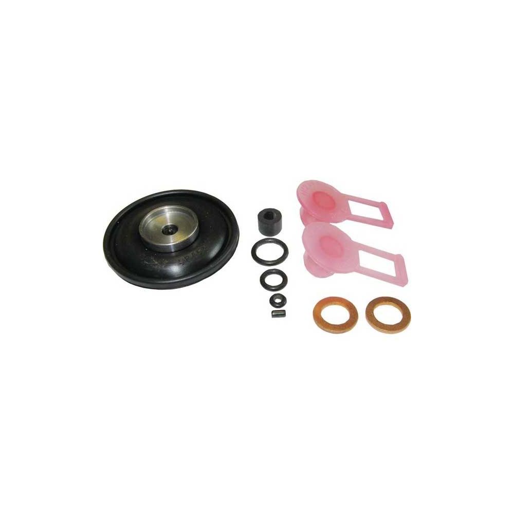 Kit de diaphragme Delphi Injector Pump 4200 5400 pour MASSEY FERGUSON