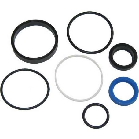 Kit d'étanchéité de vérin de direction assistée réf. 1749581M91 - Massey Ferguson
