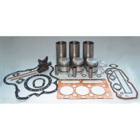 Kit de révision de moteur 35 35X - Revêtements en fonte pour MASSEY FERGUSON