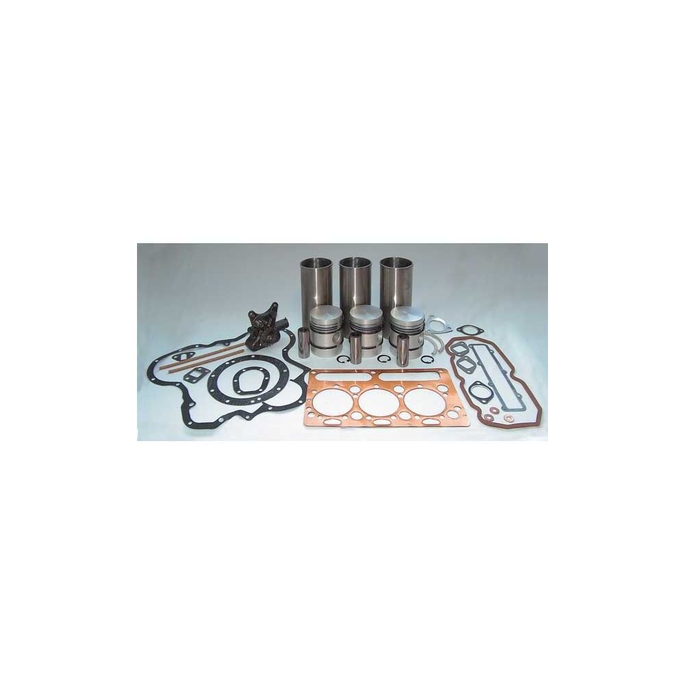 Kit de révision de moteur 35 35X - Revêtements en fonte pour MASSEY FERGUSON