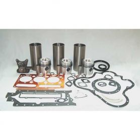 Kit de révision de moteur 148 250 pour MASSEY FERGUSON