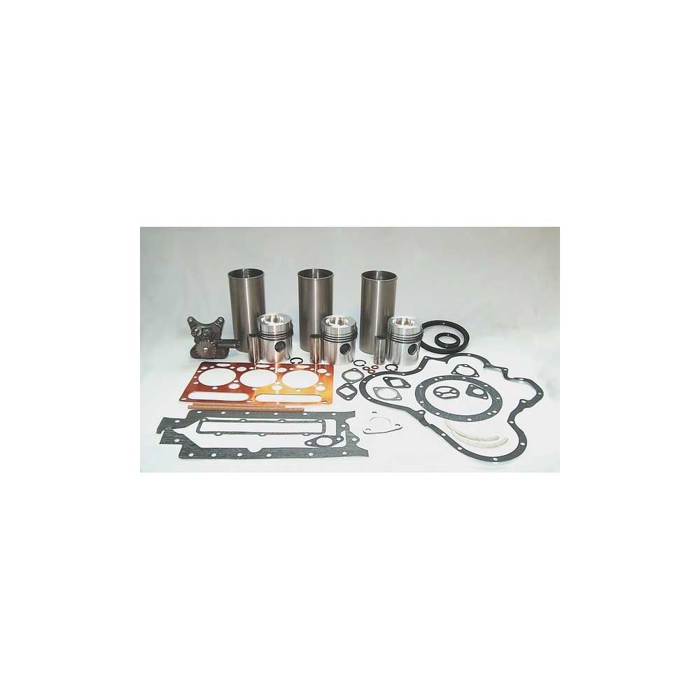 Kit de révision de moteur 148 250 pour MASSEY FERGUSON