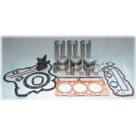 Kit de révision de moteur, doublure de chrome 35 35X pour MASSEY FERGUSON