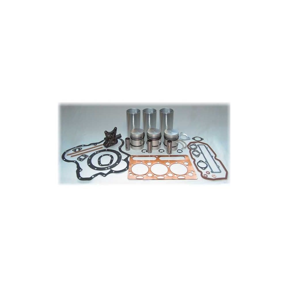 Kit de révision de moteur, doublure de chrome 35 35X pour MASSEY FERGUSON