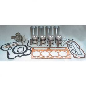 Kit de révision du moteur 203 pour MASSEY FERGUSON