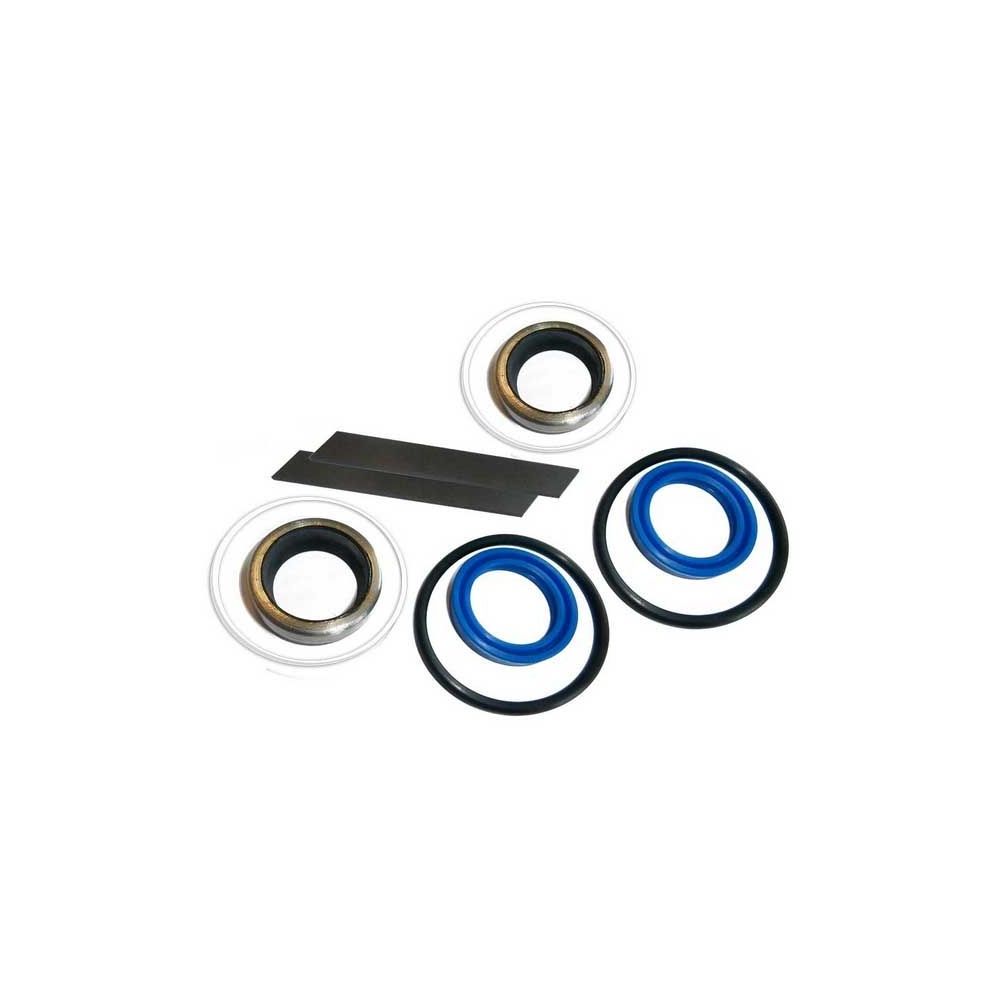 Kit de joint 4RM Ram 240 253 263 342 352 362 362N pour MASSEY FERGUSON