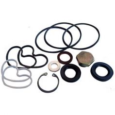 Kit d'étanchéité de pompe de direction assistée réf. 1810839M91 - Massey Ferguson