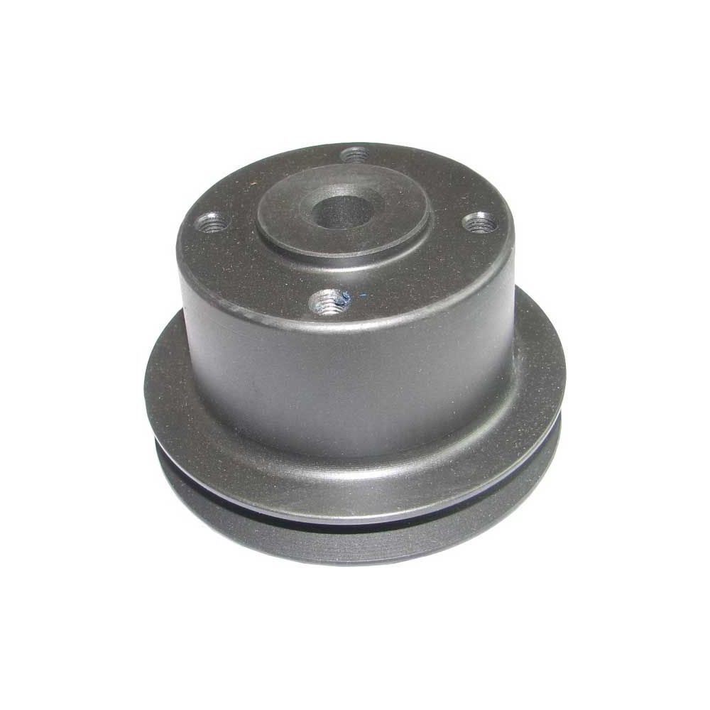 Poulie pompe à eau 65 pour MASSEY FERGUSON
