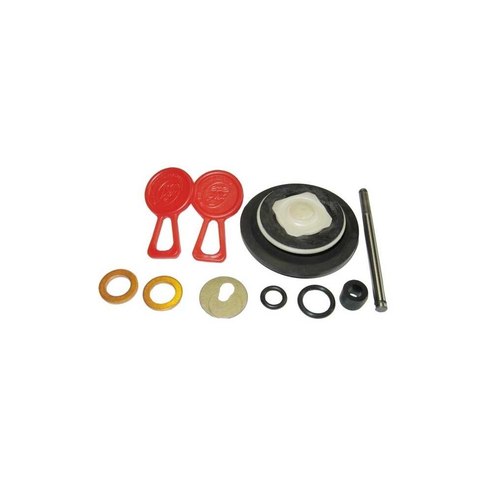 Kit de membrane Delphi Injector Pump 42s 54s pour MASSEY FERGUSON