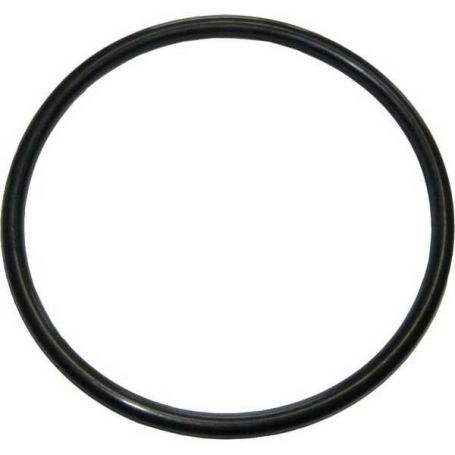 Piston d'embrayage à joint torique 4200 4300 Grand pour MASSEY FERGUSON