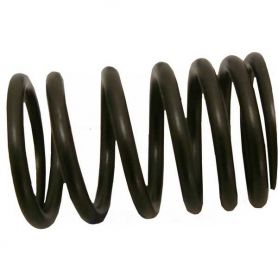 Échappement de la vanne interne ressort 1004 1006 248 236 pour MASSEY FERGUSON