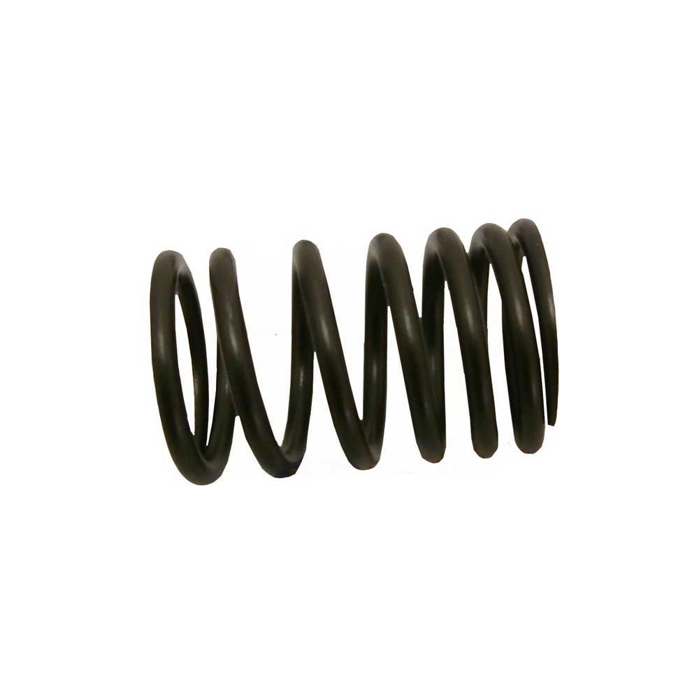 Échappement de la vanne interne ressort 1004 1006 248 236 pour MASSEY FERGUSON