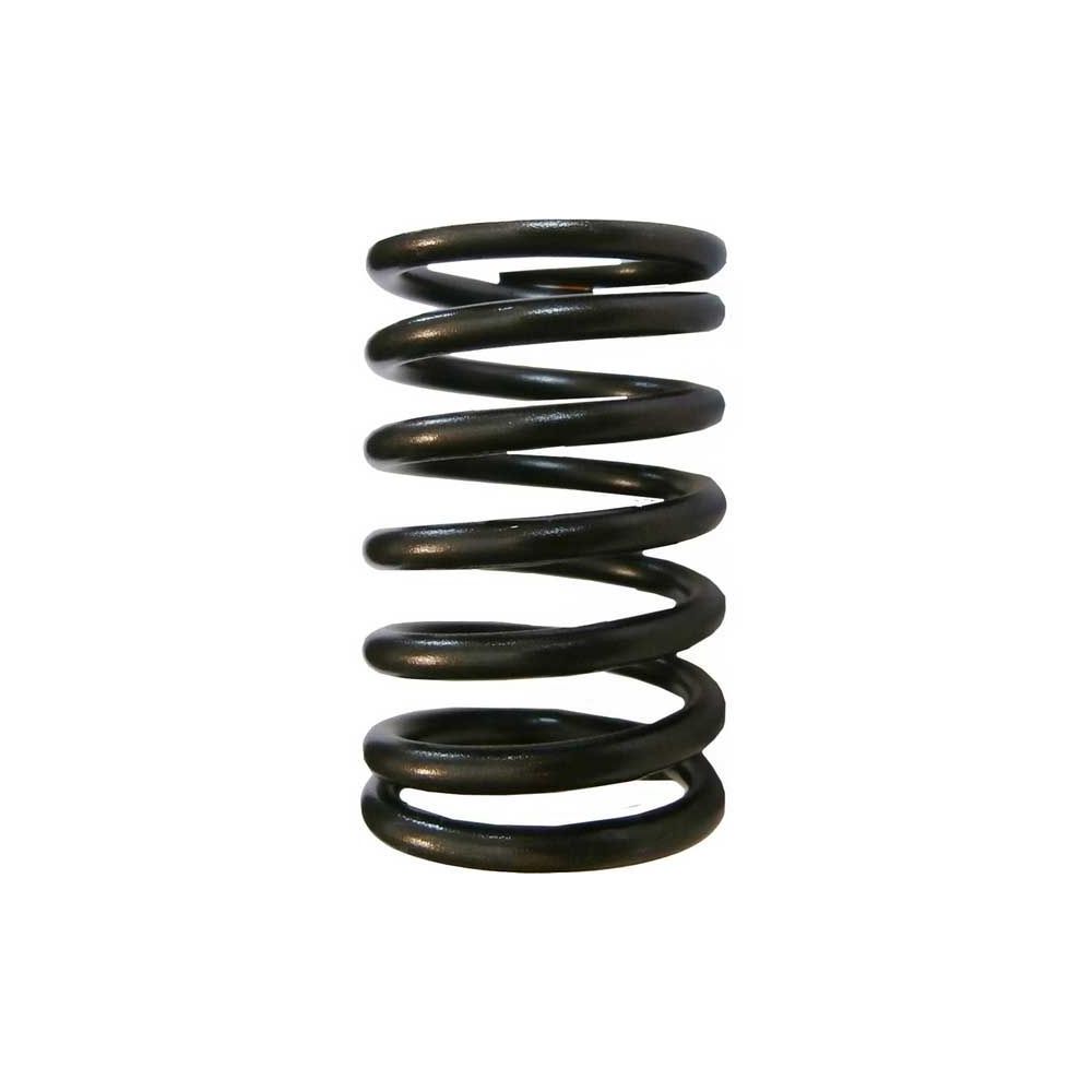 Ressort de soupape A3.152 A4.203 35 135 extérieur pour MASSEY FERGUSON