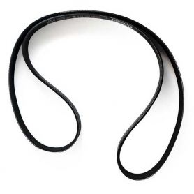 Poulie de courroie Massey Ferguson 5611 5612 5613 W / O pour MASSEY FERGUSON