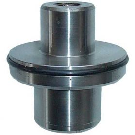 Roulement de Pivot d'essieu 300 699 698T pour MASSEY FERGUSON